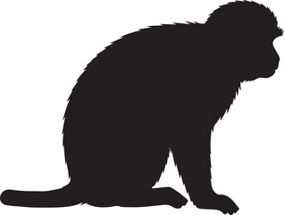 Vervet Monkey Vector Silhouette © Rizwan Ahmad