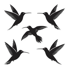 Vector Illustration of Hummingbird Silhouette Set Featuring Graceful Birds in Various Flight Poses for Nature, Wildlife, and Decorative Art Projects