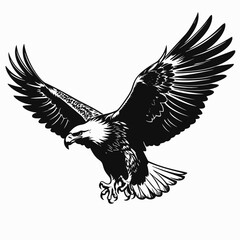 Obraz premium Eagle bird flying wings animal wildlife predator nature feather talon beak majestic freedom powerful silhouette