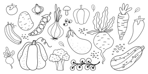 Hand-drawn outline vegetable set – pumpkin, carrot, onion, eggplant, tomato and other garden produce in a clean line-art style. Perfect for healthy eating or organic farm visuals