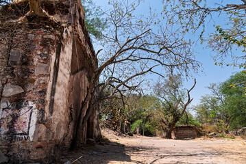árbol, cielo, naturaleza, de invierno, casa, sucursal, muro, azul, bosque, abedul, árbol, nieve, sucursal, madera, ramas, raices, seco. pared vieja, ladrillo, contraluz