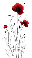 Detailed botanical poppy floral artwork high resolution image