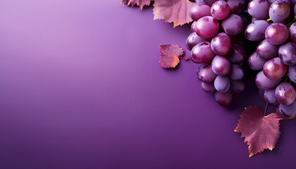 purple grape banner with blank space purple gradient background