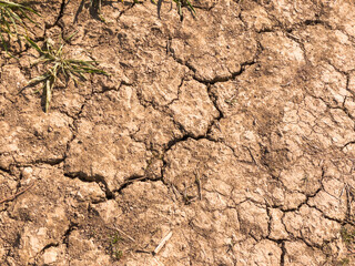 Dry cracked empty field sunbaked