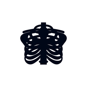sternum cheast bones vector illustration emoji symbol sign icon flat design