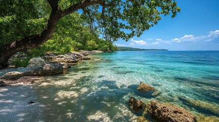 Fototapeta premium Tropical beach paradise (1)