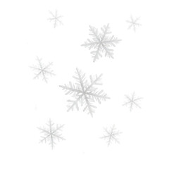 A captivating display of intricate winter snowflakes gently descending, highlighting natures frosty patterns and ephemeral beauty.