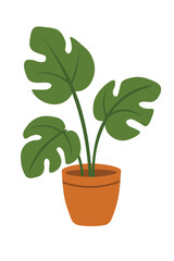 Flat cartoon monstera plant in terracotta pot. Botanical home decor for yoga or meditation zone.