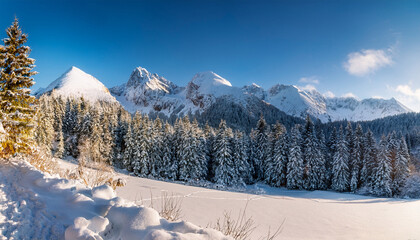 winter landscape of the tatra mountains poland © Mara