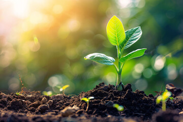 The sacred realm of soil science embodies an ethereal notion of wisdom and guardianship, showcasing the indispensable significance of scholarly exploration in safeguarding our precious ecosystem and f