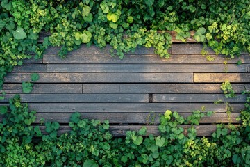 Naklejka premium A top-down view of a rustic wooden walkway bordered by lush green plants creating a nature-filled scene with a calming atmosphere.