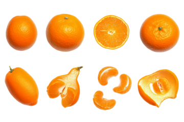 Top-down orange icon, no background, clean nutrition