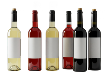 Assortment of wine bottles with blank labels in a row on transparent background