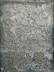 Top view close-up of weathered rough gray stone block with pitted coarse granular texture, chiseled borders, discoloration, wear and erosion marks. Old aged grey urban floor surface with holes. 