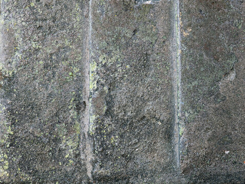 Top view close-up of gray weathered textured stone surface with chisel marks, cracks, holes, moss, mossy green lichen. Texture background of aged rough grey imprinted concrete floor slabs blocks. 