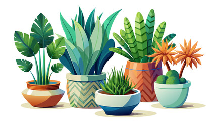 Obraz premium A stunning variety of ornamental plants in smooth ceramic pots. Each pot showcases minimalist beauty and natural texture. Leaves spread gently, adding life to every corner. Isolated on white backgroun