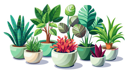 Obraz premium A stunning variety of ornamental plants in smooth ceramic pots. Each pot showcases minimalist beauty and natural texture. Leaves spread gently, adding life to every corner. Isolated on white backgroun