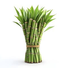 Fototapeta premium A lush bundle of vibrant green bamboo stalks tied together with a natural brown band sits on a white background.
