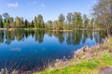 Wallace Pond in the South County Regional Park in Toledo, Washington