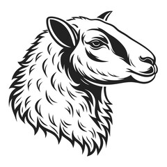 Sheep Head Monochrome Illustration, Farm Animal Black & White Line Art, Isolated