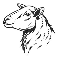 Black and White of a Sheep's Head Facing Left with a Detailed Woolly Texture