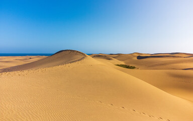 Dunes of Maspalomas, Grand Canary, on a sunny day