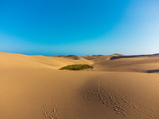 Dunes of Maspalomas, Grand Canary, on a sunny day