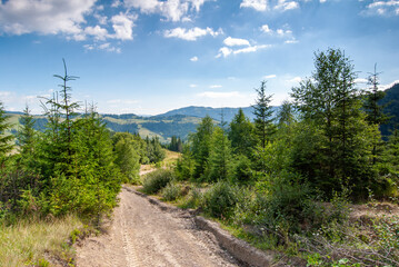 Fototapeta premium Touristic road in the Carpathian mountains, near Dzembronya village