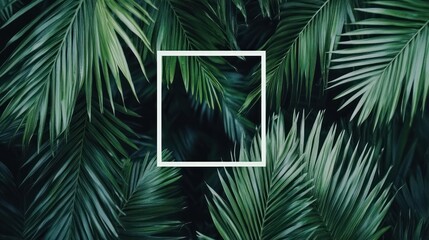 Lush tropical foliage surrounds a blank square frame.  Dark green palm leaves fill the background, creating a vibrant backdrop for the empty white border