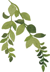 Illustration of Green Leafy Branch