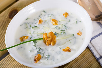 Middle East traditional summer dish Tarator, chilled vegetable soup with yogurt, cucumbers, greens, walnuts