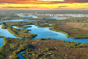 Tropical wetland ecosystem. Florida fresh water Myakka river in North Port. Wild vegetation in...