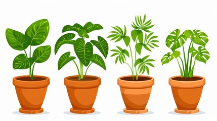 Fototapeta premium Brighten your space with lush house plants in diverse pots, creating a vibrant indoor garden atmosphere.