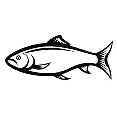 Black and White Fish Aquatic Animal with Detailed Fins and Scales Art