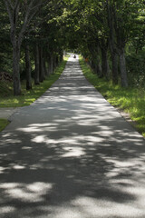 Kashubian road 