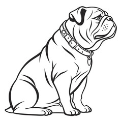 Bulldog Line Art Sitting Dog with Collar, Purebred Pet, Animal Outline