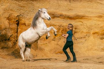 A young woman and her white icelandic horse gelding interacting in a sand pit; horsemanship concept