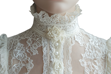 Elegant antique lace blouse detail soft ivory delicate floral pattern pearl buttons high neck