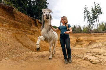 A young woman and her white icelandic horse gelding interacting in a sand pit; horsemanship concept