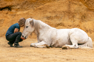 Fototapeta premium A young woman and her white icelandic horse gelding interacting in a sand pit; horsemanship concept