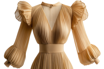 Elegant pleated champagne gown long sleeves beautiful v neck perfect for special occasions Studio