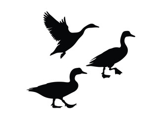 vector silhouette Set of flying geese in nature