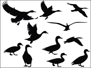 Set of ducks silhouettes in different poses