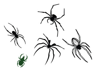 black spider, vector illustration of an arachnid insect in its web