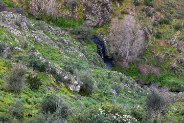 Stream of fresh water in the mountains