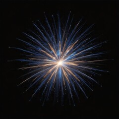 Fototapeta premium fireworks in the night sky, fireworks in the sky