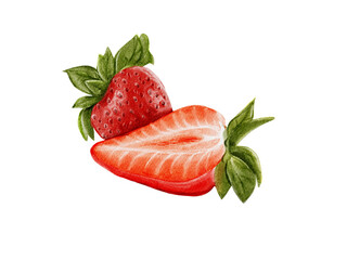strawberry isolated on white background watercolor