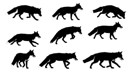 Fototapeta premium Fox silhouette set in various poses on white background, SVG vector illustration