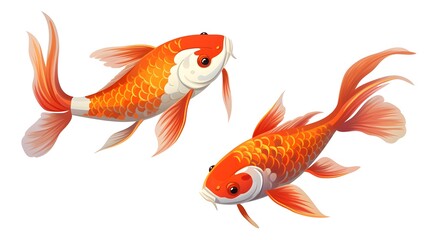 Fototapeta premium Professional Japanese Koi Carp Fishes Vector Illustration for Design Projects