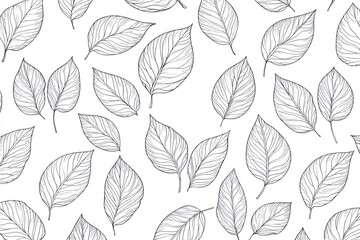 Delicate leaf pattern on white background.  Detailed line drawings of various leaves, forming a repeating design.  Light gray lines create a subtle texture